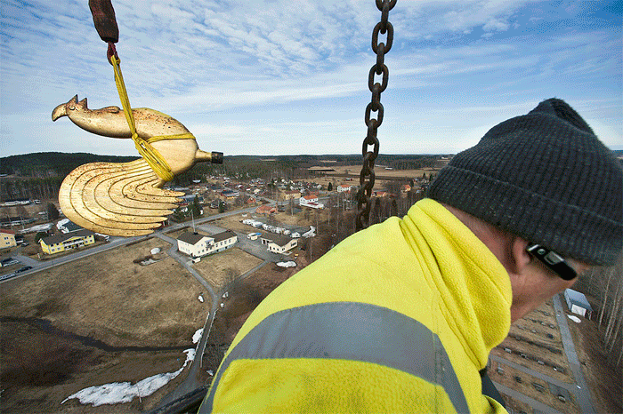 Förgyllning av kyrktuppen